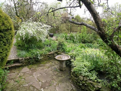 Fern Cottage thumbnail 8