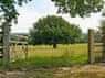 Image 10 of 12 for The Acton Scott Estate - Henley Cottage(ROO4)