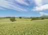 Image 11 of 12 for The Acton Scott Estate - Henley Cottage(ROO4)