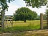 Image 17 of 20 for The Shooting Lodge(RNP)