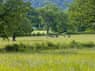 Image 18 of 20 for The Shooting Lodge(RNP)