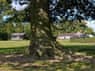 Image 15 of 20 for The Shooting Lodge(RNP)