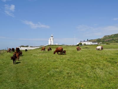 West Cliff thumbnail 2