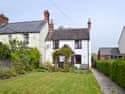 Click for more 	information