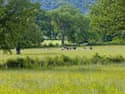 Click the small images below to Enlarged picture
