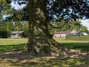 Click the small images below to Enlarged picture
