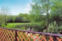Click the small images below to Enlarged picture