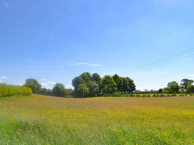 Beautiful surrounding area | Bumblebee Nook, Yanwath, near Pooley Bridge