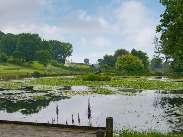 Garden and grounds | Rosecraddoc Manor, Liskeard