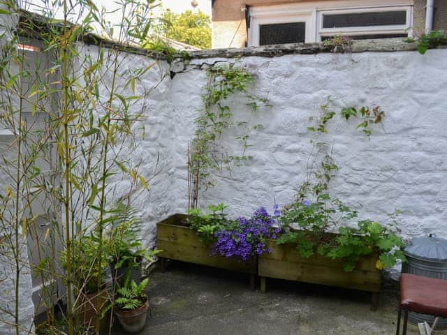 Modest secluded courtyard garden | Blackbird House, Alnwick