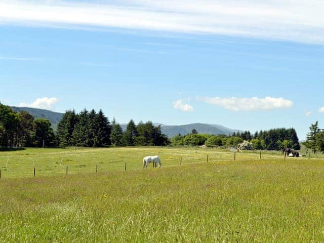 Fantastic views towards the Strathardle Hills | The Wee Cabin - Boreland Farm Cottages, Kirkmichael, near Blairgowrie