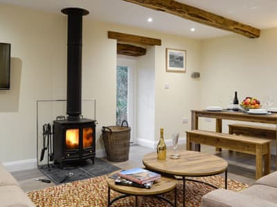 Warming wood burner within the living area | Tarn Rigg Cottage - Ormathwaite Farm Cottages, Underskiddaw, near Keswick