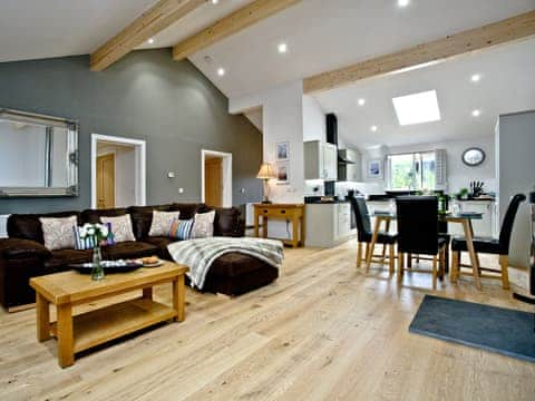 Open plan living space | Oak Lodge - South View Lodges, Exeter