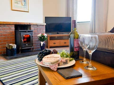 Cosy living room with wood burner | Butterhole Cottage, Mabie, near Dumfries