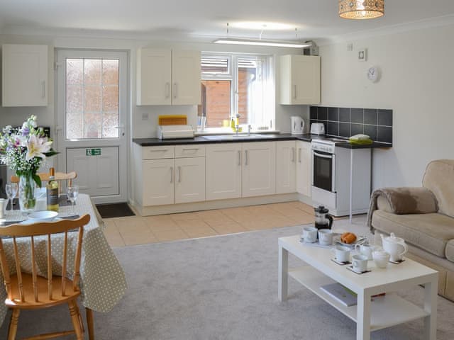 Well presented open plan living space | Greenhaven Lodge, Rackheath, near Wroxham