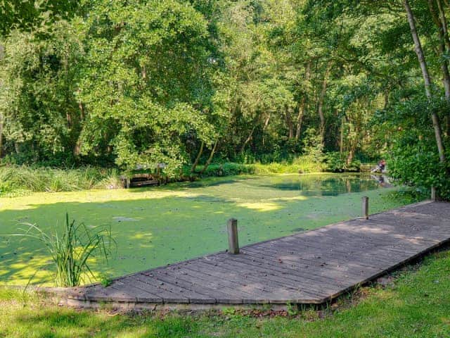 Unfenced water-filled dyke | The Wherry Arch, Irstead, Norwich