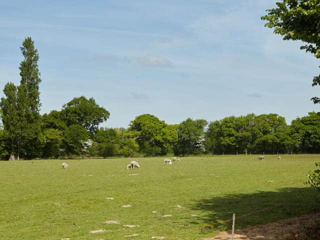 Impressive 36-acres of natural enclosed fields | The Stables, The Dairy - The Stables & The Dairy, Birdham, near Chichester