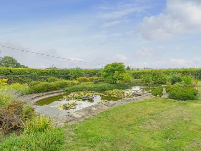 Unfenced pond in the garden | Mortimer Trail Mews, Mortimers Cross, near Leominster