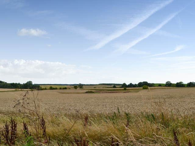 Unobstructed views | Little Barn - Tynely Farm, Tynely, near Embleton