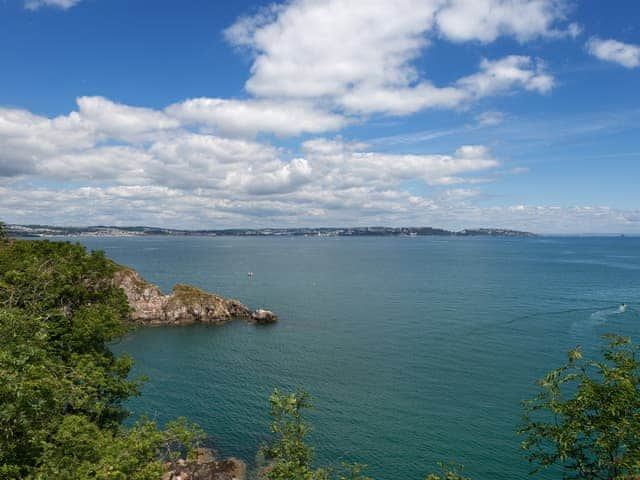 Surrounding area | Puffin 1 - The Cove, Brixham