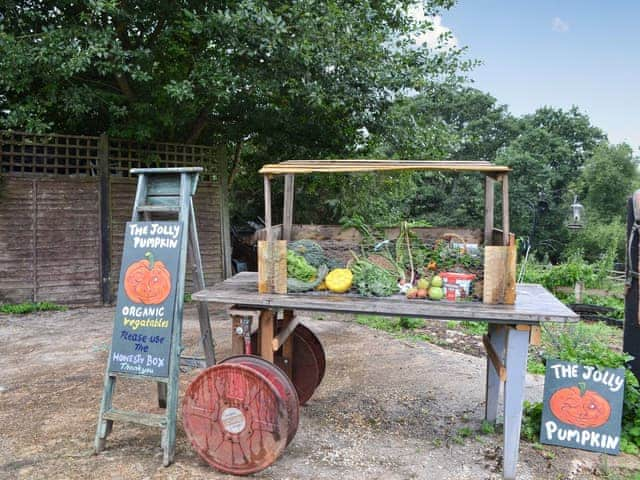 Organic veg | Meadow Barn - Brook and Meadow Barns, Shobley, Ringwood