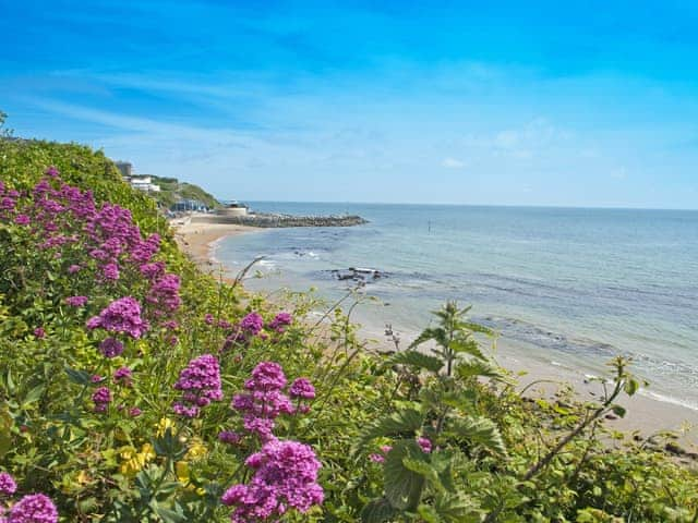 Surrounding area | The Hollies, Ventnor