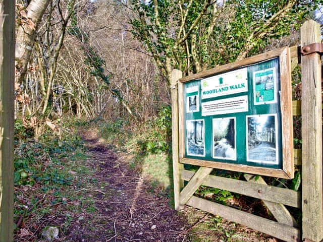 Winding woodland walks within the grounds | Honeysuckle - Woodland Retreat, Wadebridge