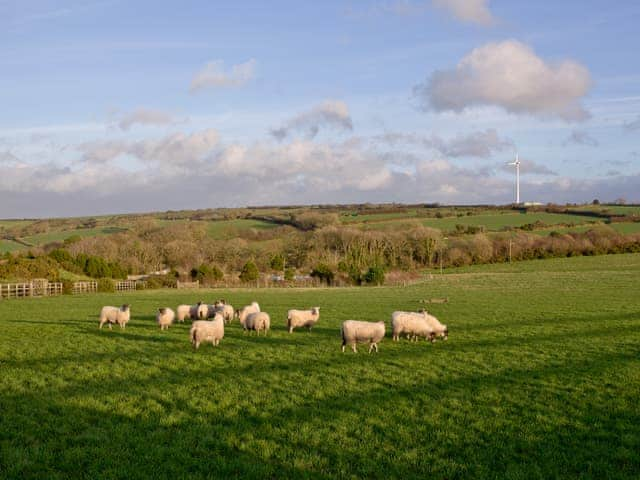 Far-reaching countryside views | Honeysuckle - Woodland Retreat, Wadebridge