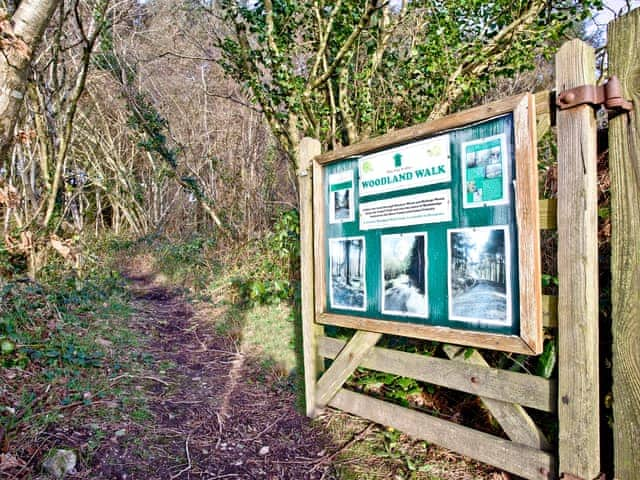 Fantastic woodland nature walk within the extensive grounds | Rose - Woodland Retreat, Wadebridge