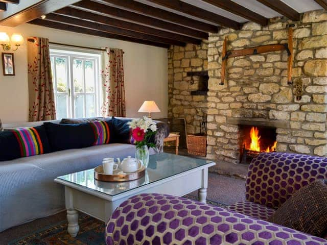 Relaxing living room with open fire | Rose Cottage - Sands Farm Cottages, Wilton near Pickering