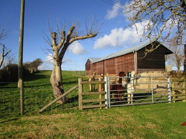 Garden and grounds | The Old Dairy, Whitwell