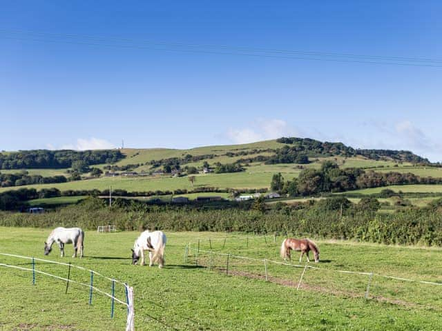 Surrounding area | The Lodge - The Lodge, Ventnor Downs, Ventnor