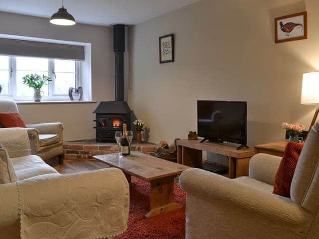 Living room with wood burner | Little WarhamLittle Warham Cottage, Beaford, near Torrington