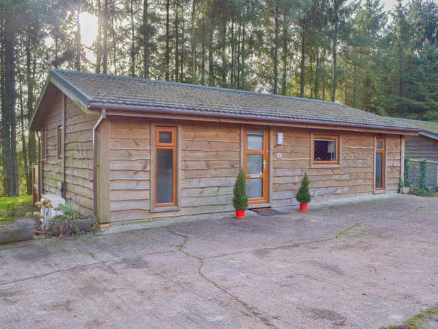 Cabin style lodge in wooded surroundings | Oak Lodge, Clatworthy, near Williton