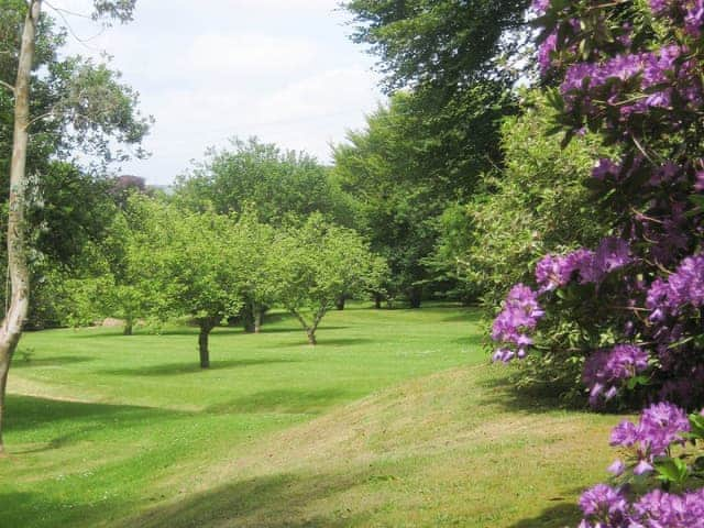 Beautiful shared garden and grounds | Tristan&rsquo;s, Isolda&rsquo;s - Lanwithan Manor Apartments, Lostwithiel