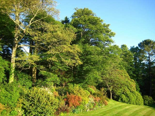 Extensive south facing grounds and borders enjoyed by Tristan&rsquo;s and Isolda&rsquo;s | Isolda&rsquo;s, Tristan&rsquo;s - Lanwithan Manor Apartments, Lostwithiel