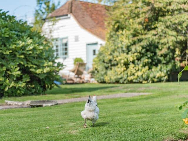 Garden | Freshwater Barn, Benenden