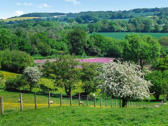 Surrounding area | Brickwood Farmhouse, West Meon