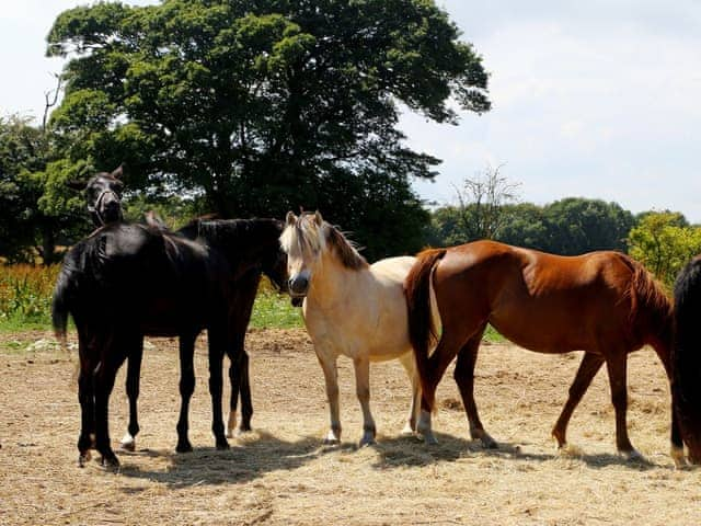 Surrounding area | Hoad Farm Cottages, Acrise, near Folkestone