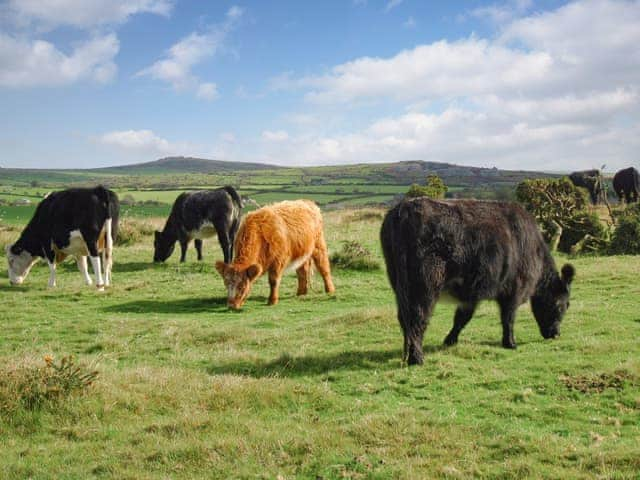 Surrounding area | Hallagenna Cottages, St Breward, near Bodmin