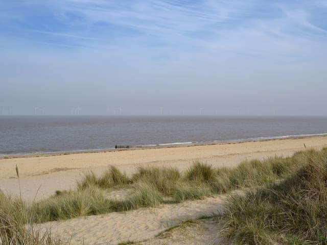 is caister beach dog friendly