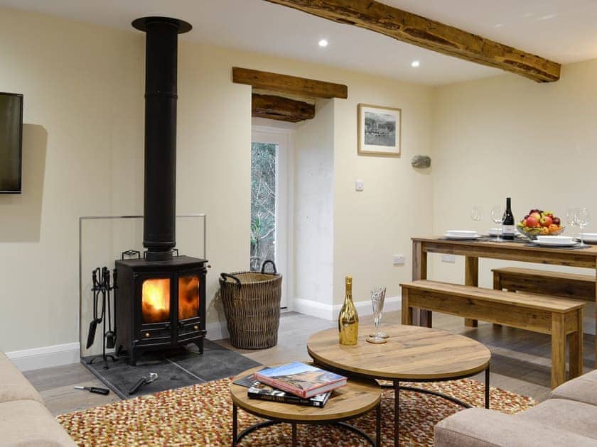 Warming wood burner within the living area | Tarn Rigg Cottage - Ormathwaite Farm Cottages, Underskiddaw, near Keswick