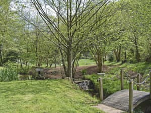 Wonderful seven acres of natural landscape | Perivale Lodge, near Lydney 