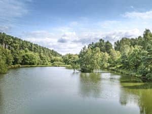 Cannock Chase