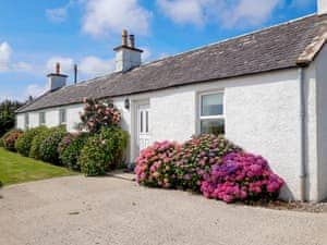Delightful, cosy country cottage  | Palmallet Cottage, Whithorn