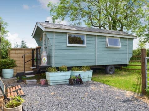 Charming shepherds hut | Shepherds Rest, Wedmore, near Cheddar