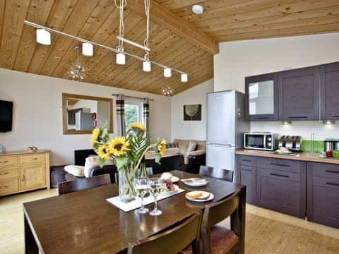 Spacious open plan living space | Garfield Lodge , Hawkchurch, Axminster