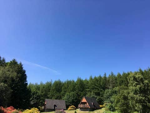 Heather Lodge nestling in the trees | Flowerburn Holidays - Heather Lodge - Flowerburn Holidays , Rosemarkie, near Fortrose