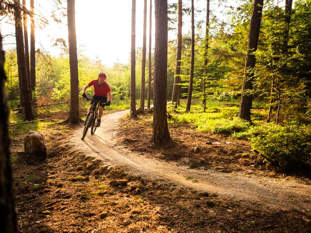 Mountain bike around Grizedale Forest | Hidden Cottage, Lowick, near Coniston