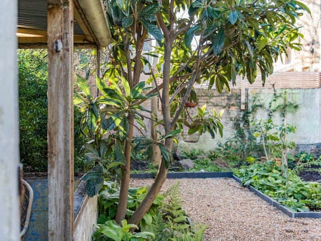 Outdoor area | Arthur House, Cliftonville